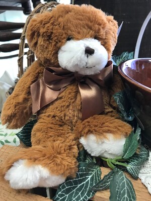 Small Plush Bear